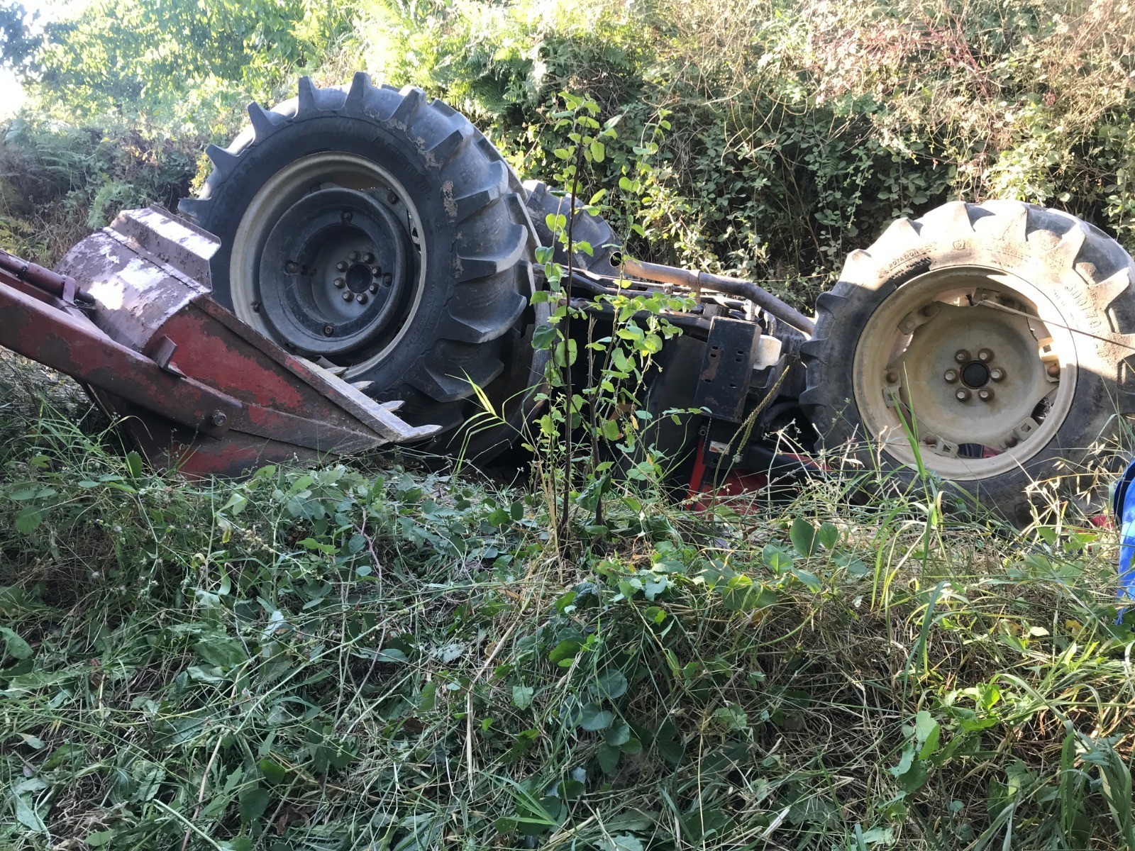 8 yaşındaki Anıl Bilal’den 1 hafta sonra acı haber geldi!